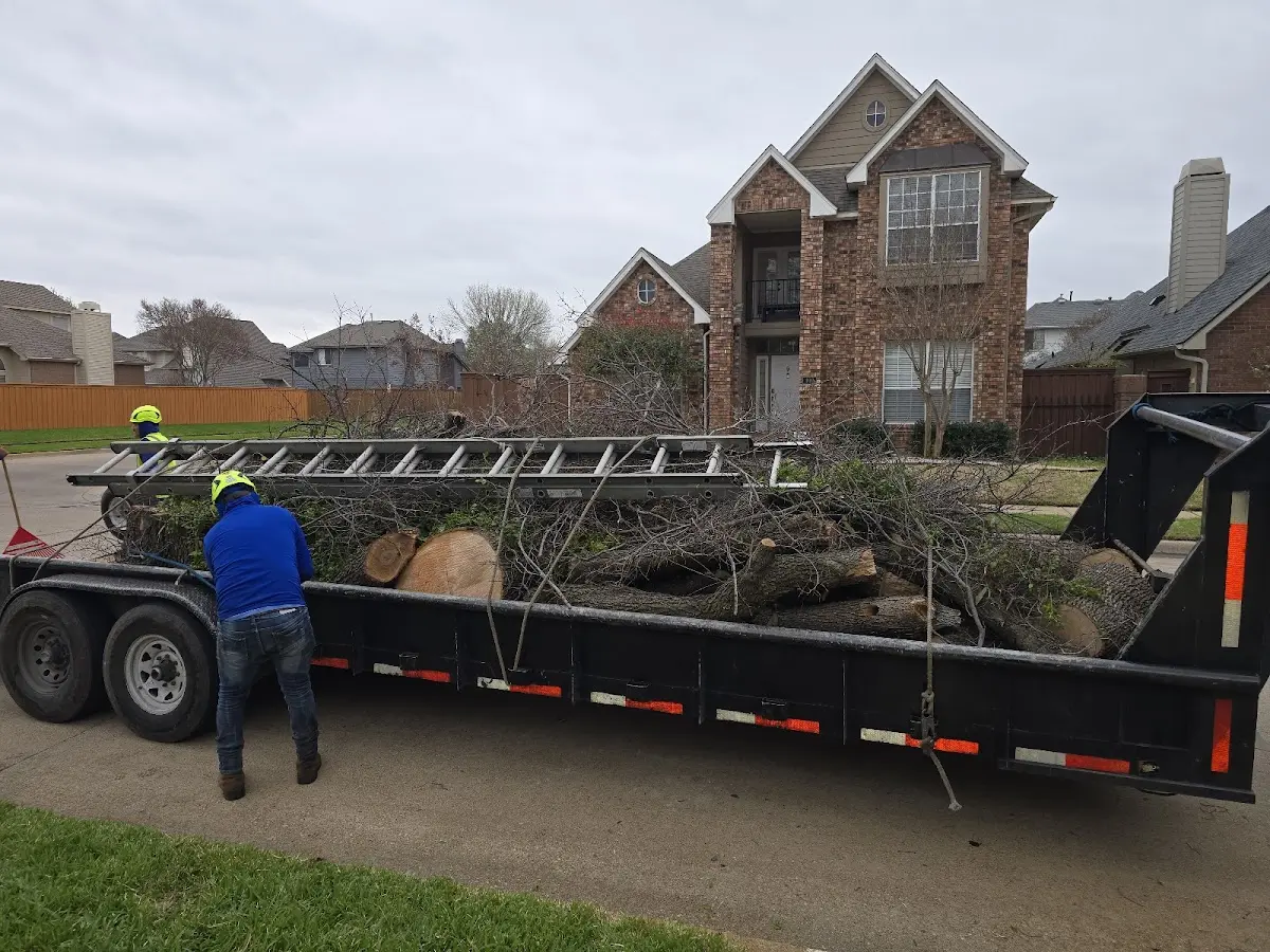 Expert Lot Clearing with proper safety equipment in Scribner